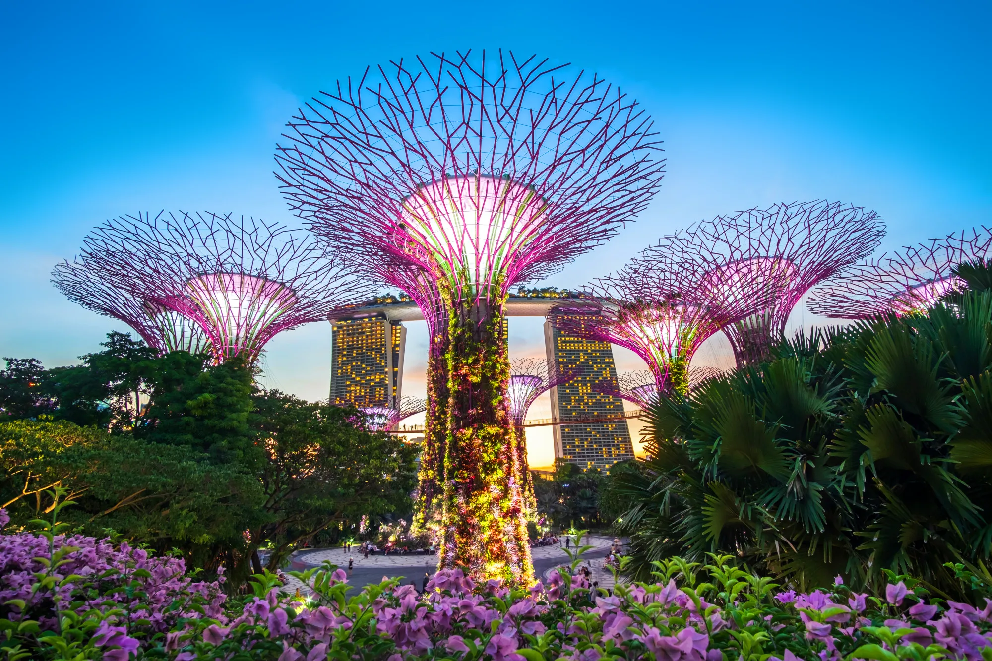 Singapore Visa