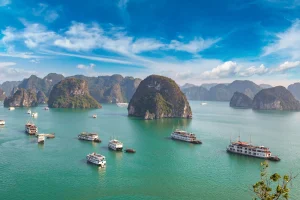 The 2026 Guide to Getting a Vietnam e-Visa for Indian Passport Holders